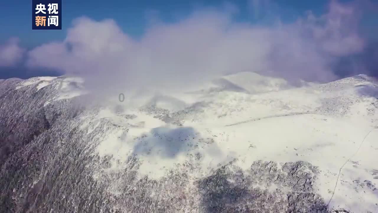 水果射击挑战