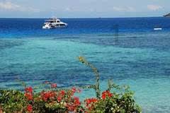 海绵宝宝寻珍宝